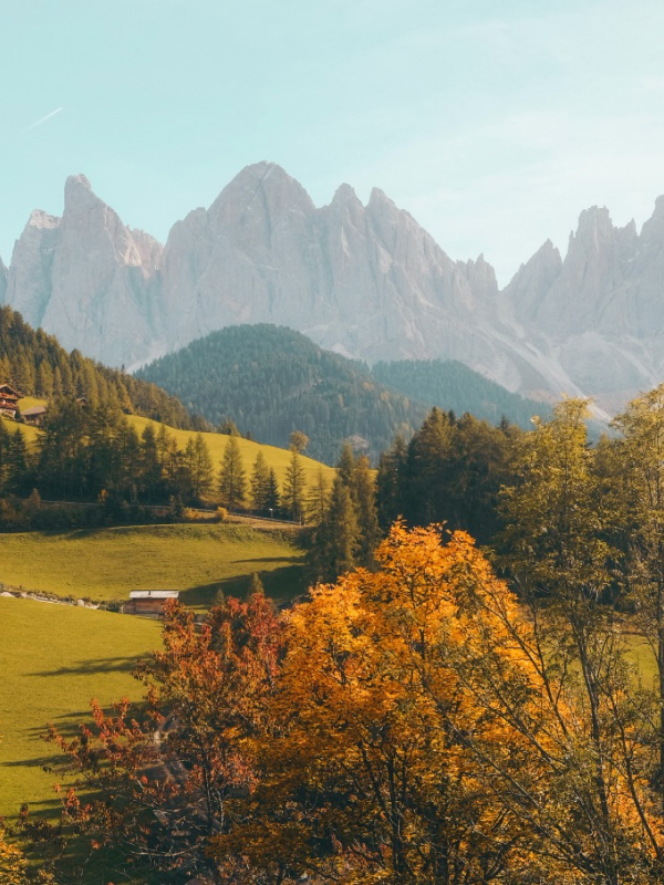 Taylored Body and Health Natures 02