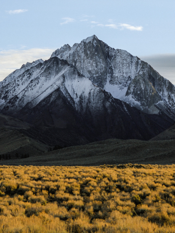 Taylored Body and Health Snow Mountains 02